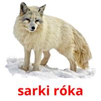 sarki róka card for translate