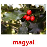 magyal picture flashcards