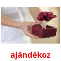 ajándékoz Bildkarteikarten