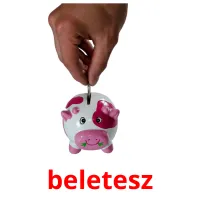 beletesz Bildkarteikarten