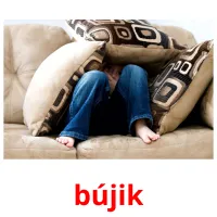 bújik Bildkarteikarten