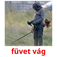 füvet vág Bildkarteikarten