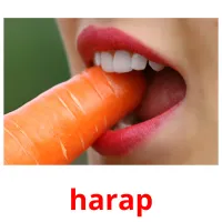 harap Bildkarteikarten