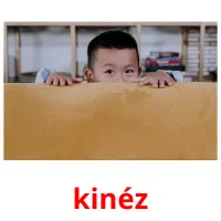 kinéz Bildkarteikarten