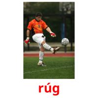 rúg picture flashcards