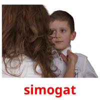 simogat picture flashcards