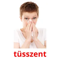 tüsszent Bildkarteikarten