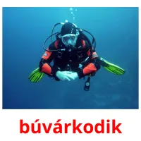 búvárkodik picture flashcards