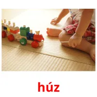 húz picture flashcards