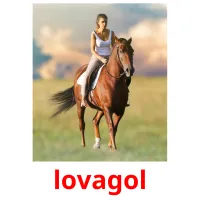 lovagol picture flashcards