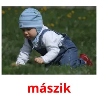 mászik picture flashcards