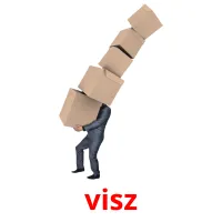 visz picture flashcards