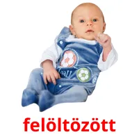 felöltözött picture flashcards