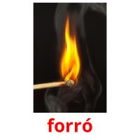forró picture flashcards