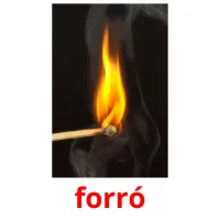 forró picture flashcards