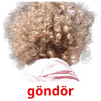 göndör picture flashcards