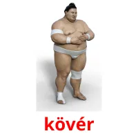 kövér picture flashcards