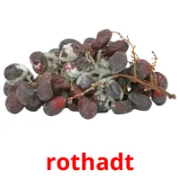 rothadt picture flashcards