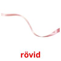 rövid picture flashcards