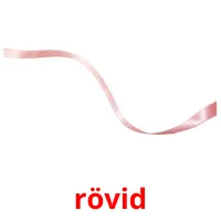 rövid picture flashcards