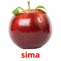 sima picture flashcards