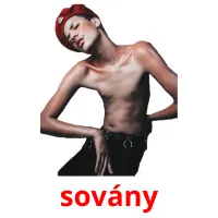 sovány picture flashcards