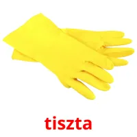 tiszta picture flashcards