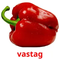 vastag picture flashcards