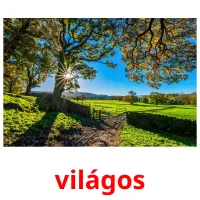 világos picture flashcards