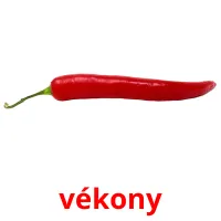 vékony picture flashcards