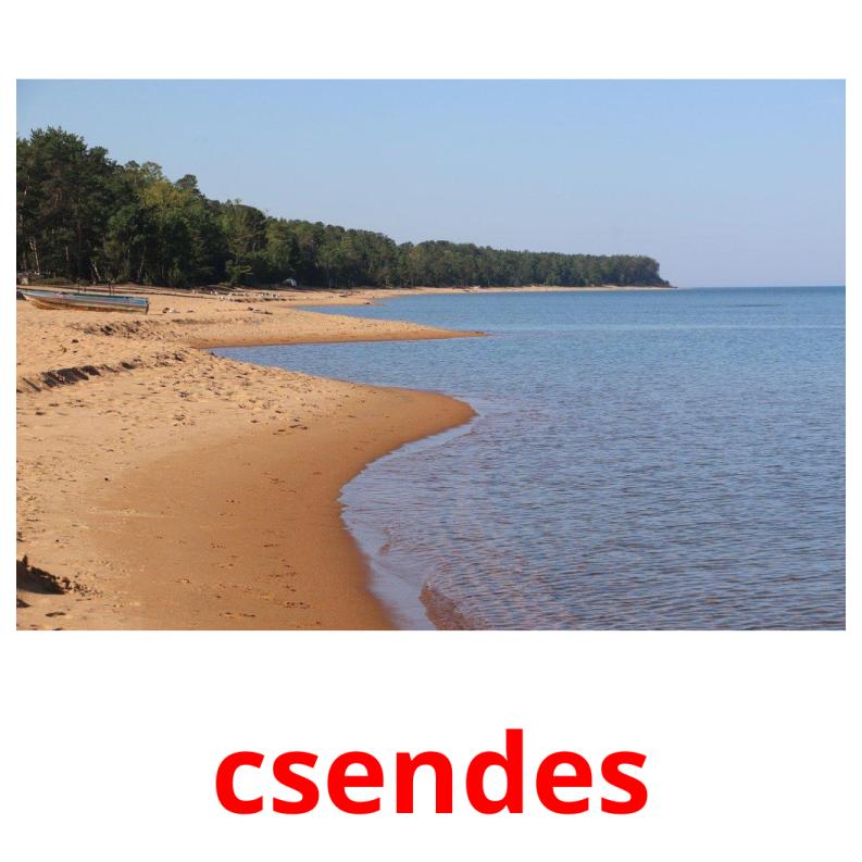 csendes picture flashcards