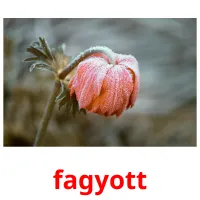 fagyott Bildkarteikarten