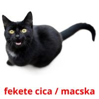 fekete cica / macska flashcards illustrate