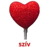 szív Bildkarteikarten