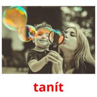tanít picture flashcards