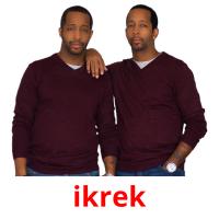 ikrek picture flashcards