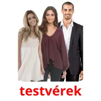 testvérek Bildkarteikarten