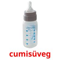cumisüveg card for translate