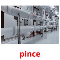 pince picture flashcards