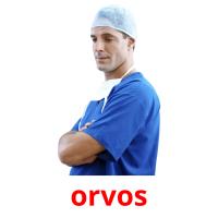 orvos picture flashcards