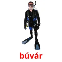 búvár picture flashcards