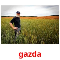 gazda picture flashcards