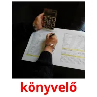 könyvelő picture flashcards