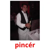 pincér picture flashcards