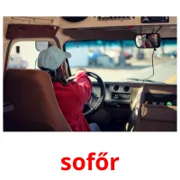 sofőr picture flashcards