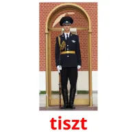 tiszt picture flashcards