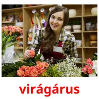 virágárus picture flashcards