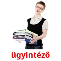 ügyintéző picture flashcards