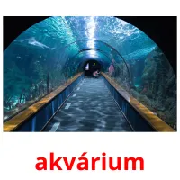 akvárium Bildkarteikarten