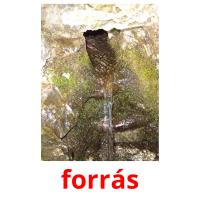 forrás picture flashcards